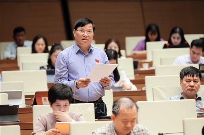 Đại biểu Quốc hội tỉnh Vĩnh Phúc Trần Văn Tiến phát biểu. Ảnh: An Đăng - TTXVN