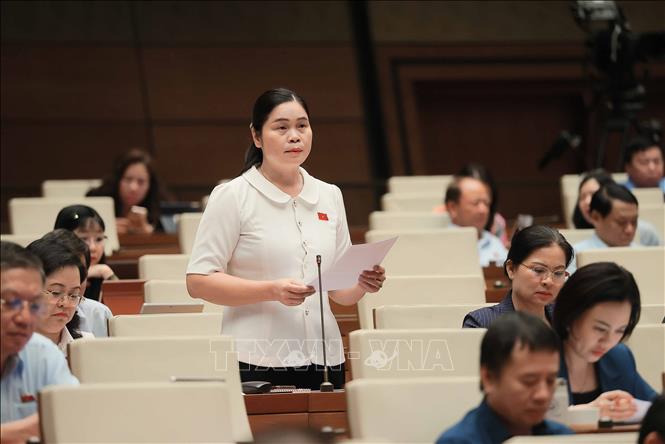 Đại biểu Quốc hội tỉnh Tuyên Quang Ma Thị Thúy phát biểu. Ảnh: An Đăng - TTXVN