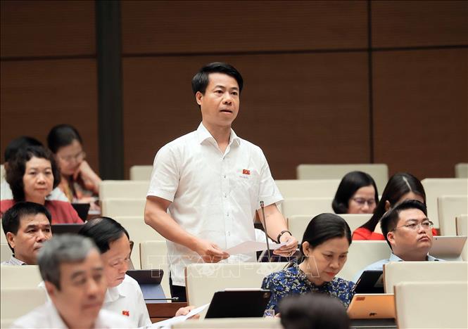 Đại biểu Quốc hội tỉnh Lai Châu Hoàng Quốc Khánh phát biểu. Ảnh: An Đăng - TTXVN