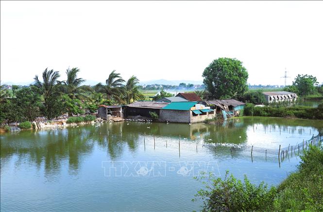Sông Đào cung cấp nước cho ao hồ giúp người dân các huyện hạ lưu  phát triển mô hình trang trại vườn, ao, chuồng quy mô lớn, cho thu nhập ổn định. Ảnh: Xuân Tiến - TTXVN 