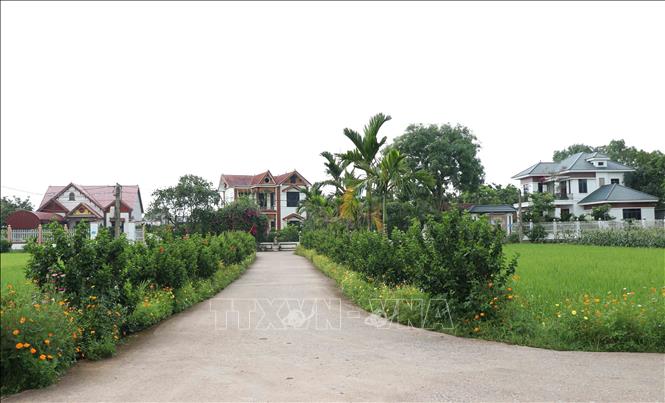 Đường làng, ngõ xóm tại xã Dương Thành (Thái Nguyên) xanh, sạch, đẹp. Ảnh: Trần Trang - TTXVN 