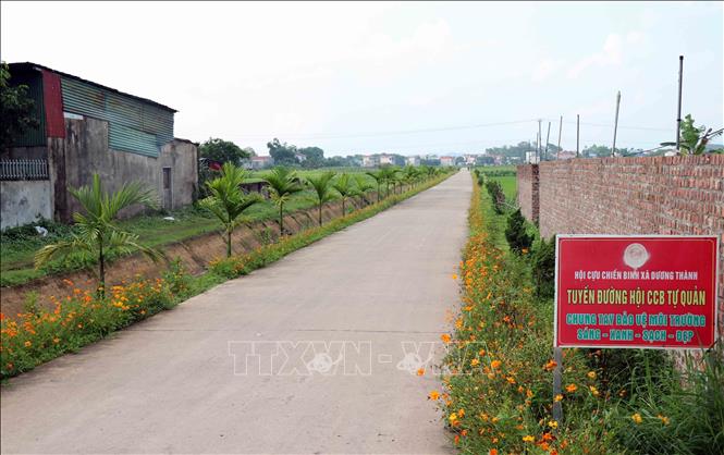 Các tuyến đường xóm tại xã Dương Thành được mở rộng, trồng hoa sạch đẹp và giao cho các đoàn thể tự quản. Ảnh: Trần Trang - TTXVN 