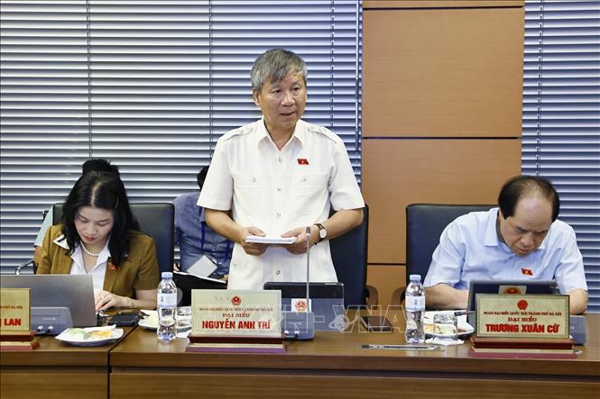 Đại biểu Quốc hội TP Hà Nội Nguyễn Anh Trí phát biểu. Ảnh: Doãn Tấn - TTXVN