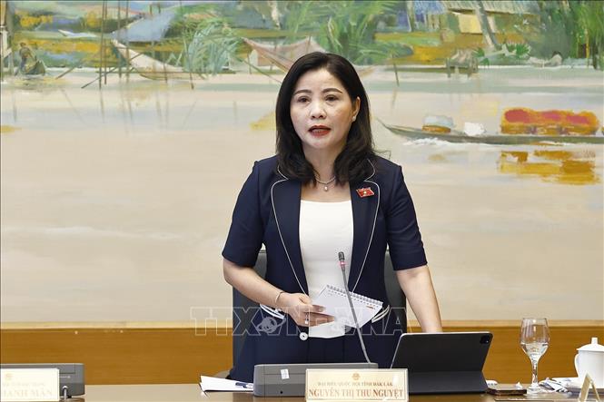 Đại biểu Quốc hội tỉnh Đắk Lắk Nguyễn Thị Thu Nguyệt phát biểu. Ảnh: Doãn Tấn - TTXVN