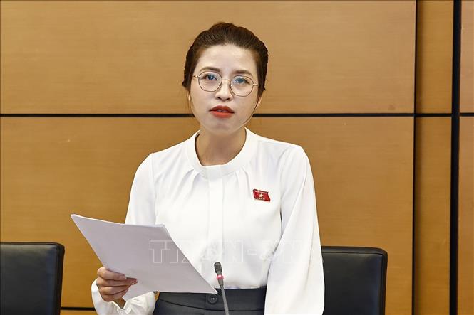 Đại biểu Quốc hội tỉnh Bắc Ninh Nguyễn Thị Hà phát biểu. Ảnh: Doãn Tấn - TTXVN