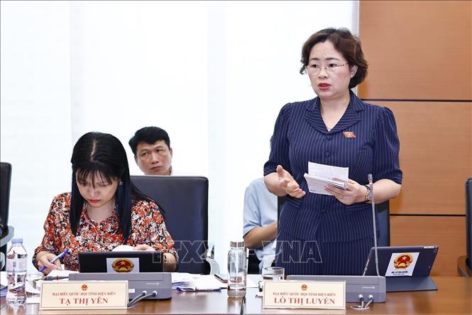 Đại biểu Quốc hội tỉnh Điện Biên Lò Thị Luyến phát biểu. Ảnh: Doãn Tấn - TTXVN