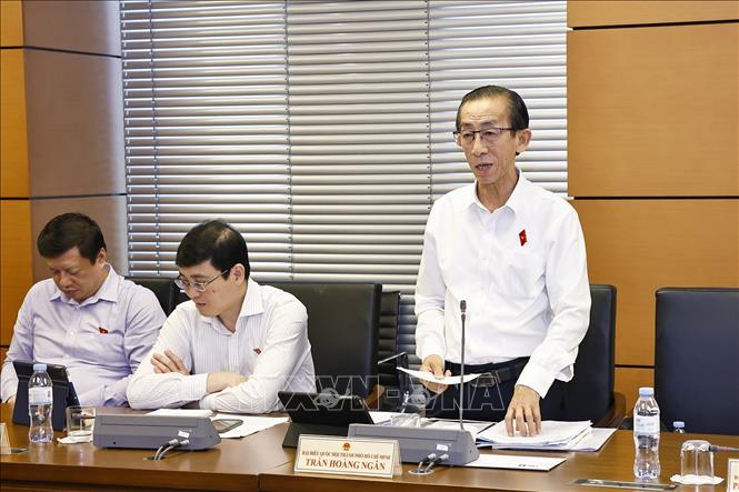 Đại biểu Quốc hội TP Hồ Chí Minh Trần Hoàng Ngân phát biểu. Ảnh: Doãn Tấn - TTXVN