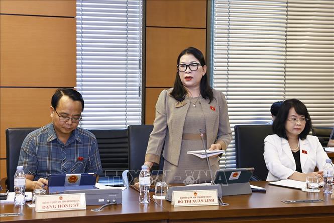 Đại biểu Quốc hội tỉnh Bình Thuận Bố Thị Xuân Linh phát biểu. Ảnh: Doãn Tấn - TTXVN