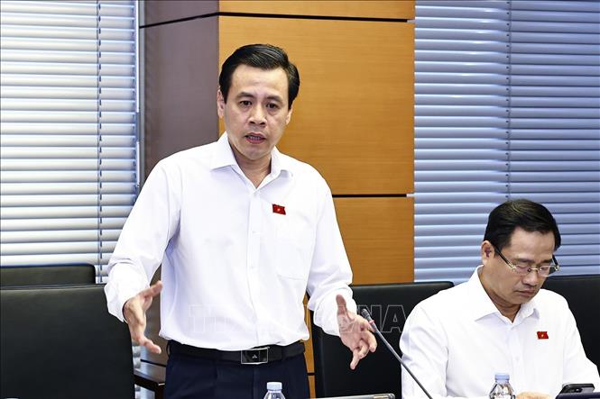 Đại biểu Quốc hội TP Hồ Chí Minh Trần Anh Tuấn phát biểu. Ảnh: Doãn Tấn - TTXVN