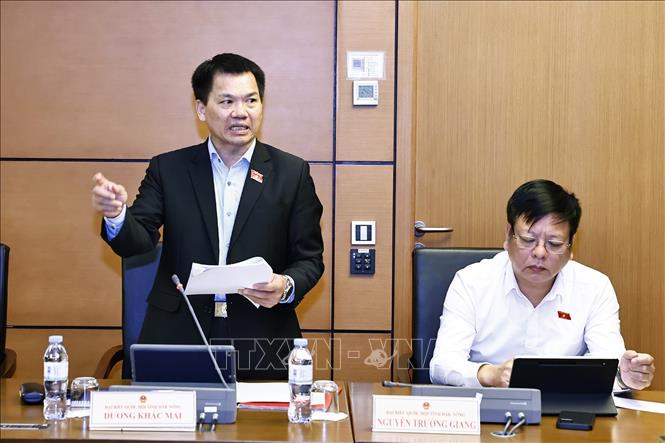 Đại biểu Quốc hội tỉnh Đắk Nông Dương Khắc Mai phát biểu. Ảnh: Doãn Tấn - TTXVN