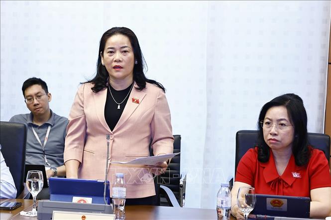Đại biểu Quốc hội tỉnh Hậu Giang Lê Thị Thanh Lam phát biểu. Ảnh: Doãn Tấn - TTXVN
