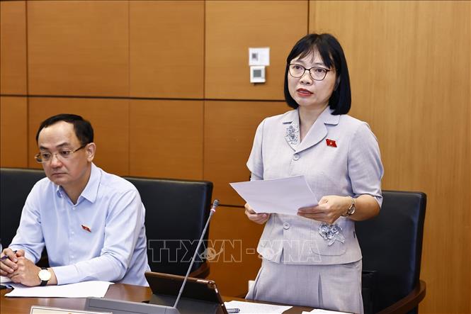 Đại biểu Quốc hội tỉnh Hải Dương Nguyễn Thị Việt Nga phát biểu. Ảnh: Doãn Tấn - TTXVN