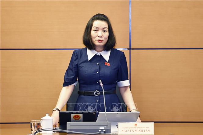 Đại biểu Quốc hội tỉnh Quảng Bình Nguyễn Minh Tâm phát biểu. Ảnh: Doãn Tấn - TTXVN