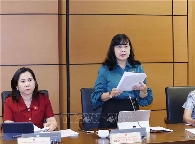 Đại biểu Quốc hội tỉnh Bạc Liêu Trần Thị Thu Đông thảo luận ở tổ. Ảnh: Phương Hoa – TTXVN