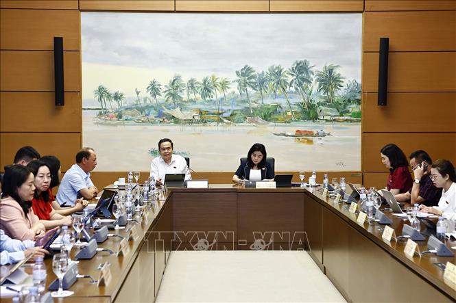 Chủ tịch Quốc hội Trần Thanh Mẫn, đại biểu Quốc hội tỉnh Hậu Giang phát biểu. Ảnh: Doãn Tấn - TTXVN