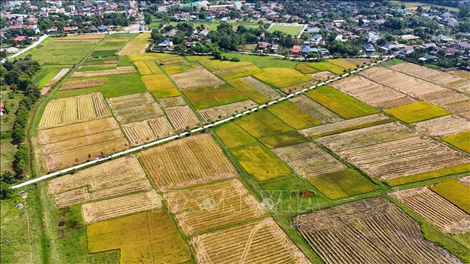 Hiện nhiều cánh đồng lúa tại Hà Tĩnh đã cơ bản hoàn thành việc thu hoạch. Ảnh: Hữu Quyết – TTXVN
