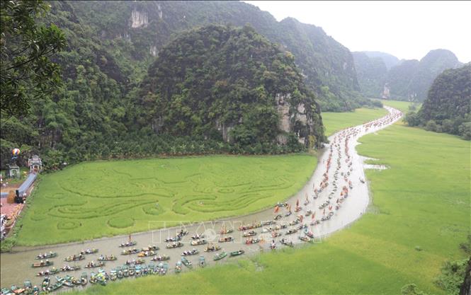 Du khách được ngắm cánh đồng lúa nghệ thuật tái hiện bức tranh 