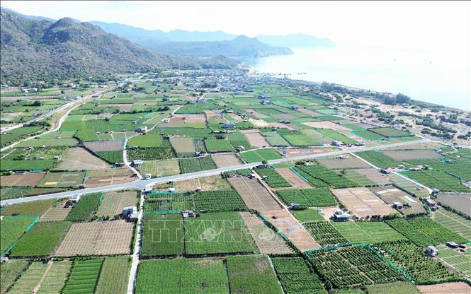 The Ninh Thuan 2 nuclear power plant project covers over 643 hectares in Thai An village, Vinh Hai commune, Ninh Hai district. VNA Photo: Nguyễn Thành 