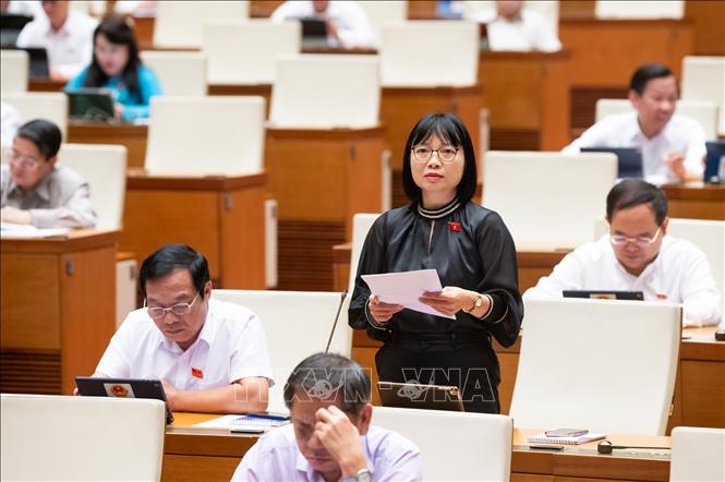 Đại biểu Quốc hội tỉnh Hải Dương Nguyễn Thị Việt Nga phát biểu. Ảnh: Phương Hoa - TTXVN