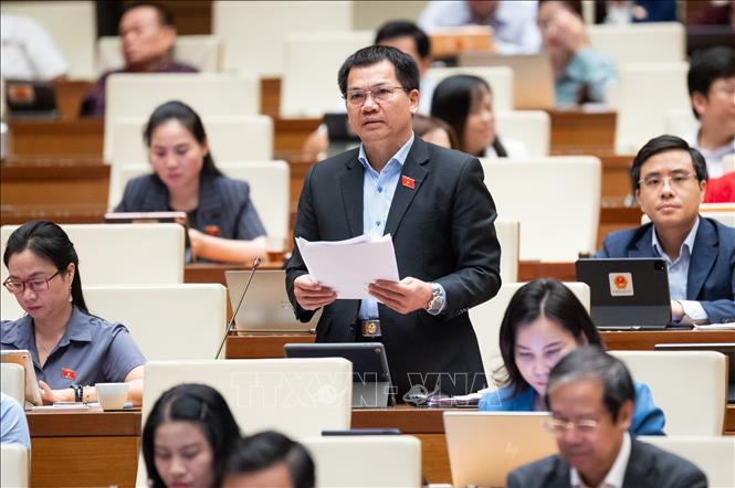 Đại biểu Quốc hội tỉnh Đắk Nông Dương Khắc Mai phát biểu. Ảnh: Phương Hoa - TTXVN