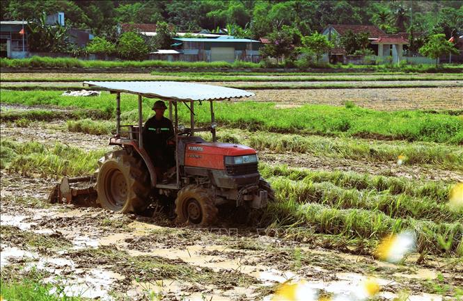 Nông dân tranh thủ cày bừa trên những cánh đồng vừa gặt xong để chuản bị bước vào sản xuất, gieo trồng vụ mới. Ảnh: Xuân Tiến - TTXVN 
