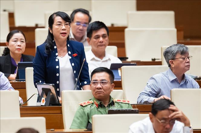 Đại biểu Quốc hội thành phố Hồ Chí Minh Trần Kim Yến phát biểu. Ảnh: Phương Hoa - TTXVN