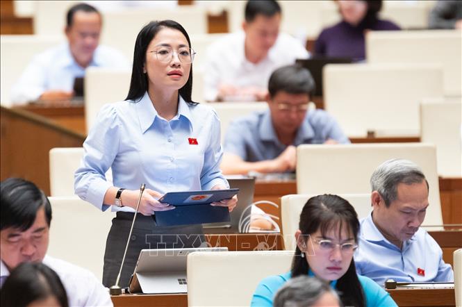 Đại biểu Quốc hội tỉnh Thái Bình Trần Khánh Thu phát biểu. Ảnh: Phương Hoa - TTXVN