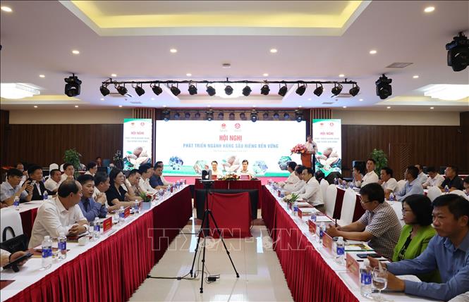 Quang cảnh hội nghị. Ảnh: Hoài Thu – TTXVN 