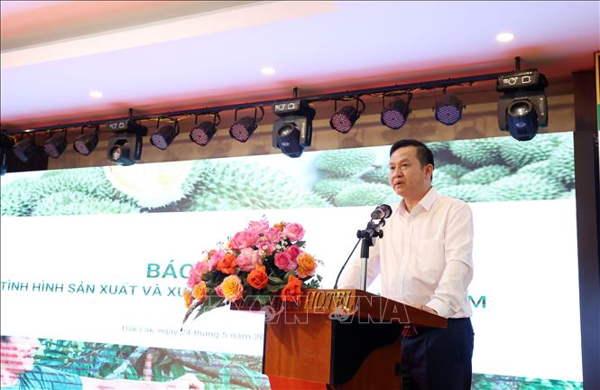 Cục trưởng Cục Trồng trọt và Bảo vệ thực vật Huỳnh Tấn Đạt thông tin về tình hình sản xuất và mở cửa thị trường đối với sầu riêng Việt Nam. Ảnh: Hoài Thu – TTXVN 