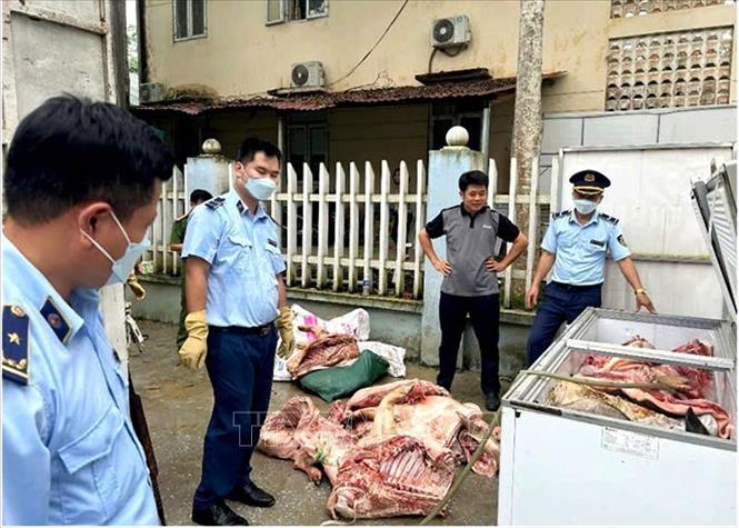 Đội Quản lý thị trường số 3 phối hợp với Công an xã Vĩnh Hảo và cơ quan Thú y huyện Bắc Quang kiểm tra đột xuất địa điểm kinh doanh do ông Trần Xuân Chiến làm chủ, có địa chỉ thôn Vĩnh Sơn, xã Vĩnh Hảo, huyện Bắc Quang phát hiện 648 kg sản phẩm là thịt lợn không có hóa đơn, chứng minh nguồn gốc hợp pháp. Ảnh: TTXVN phát