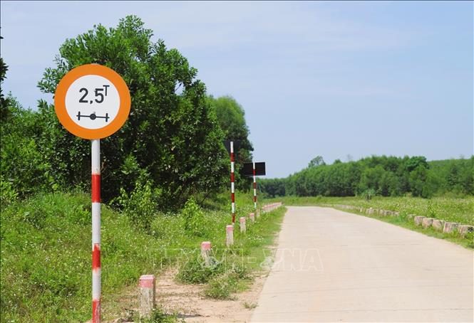 Biến báo hạn chế tải trọng trục xe được cơ quan chức năng cắm trên đê sông Đào. Ảnh: Xuân Tiến - TTXVN 