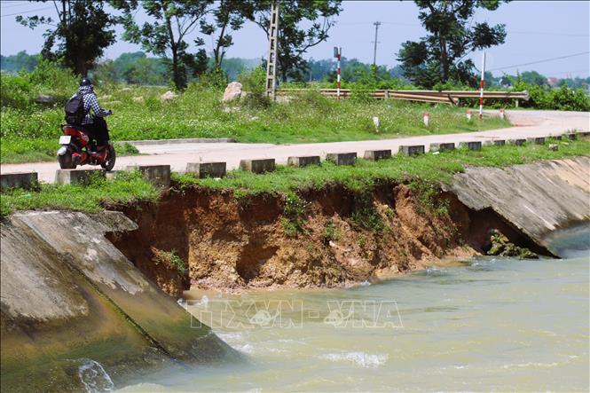 Một đoạn mái của đê trên sông Đào bị sạt lở, xuống cấp, hư hại nặng. Ảnh: Xuân Tiến - TTXVN 