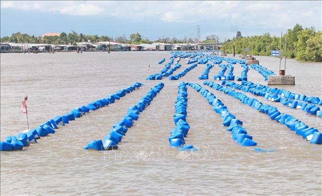 Phía bên trong cửa biển Vàm Lũng, mô hình nuôi hàu lồng trên sông rất phát triển. Ảnh: Huỳnh Anh – TTXVN