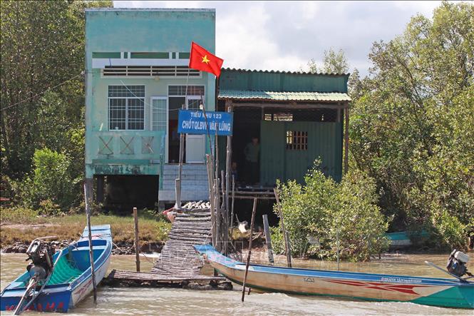 Chốt Quản lý bảo vệ rừng Vàm Lũng cách biển Vàm Lũng còn không xa vì sạt lở diễn ra nhanh. Ảnh: Huỳnh Anh - TTXVN