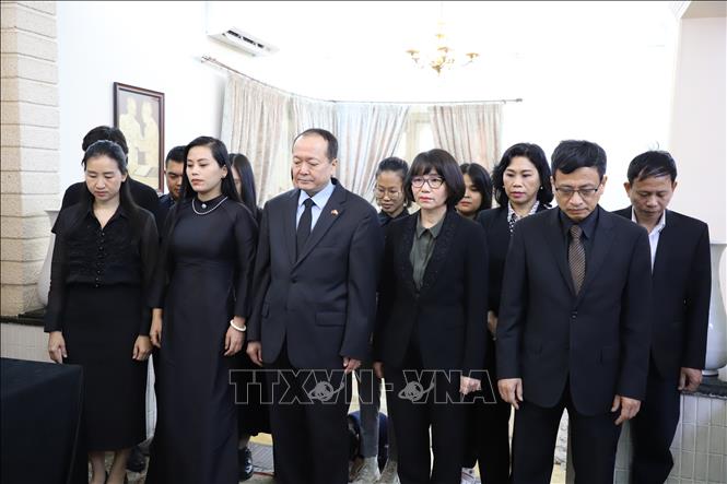 Cán bộ, nhân viên Đại sứ quán và các cơ quan của Việt Nam viếng nguyên Chủ tịch nước Trần Đức Lương. Ảnh: Nguyễn Trường-TTXVN