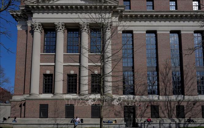 Sinh viên tại Đai học Harvard ở Cambridge, bang Massachusetts, Mỹ, ngày 15/4/2025. Ảnh: REUTERS/TTXVN