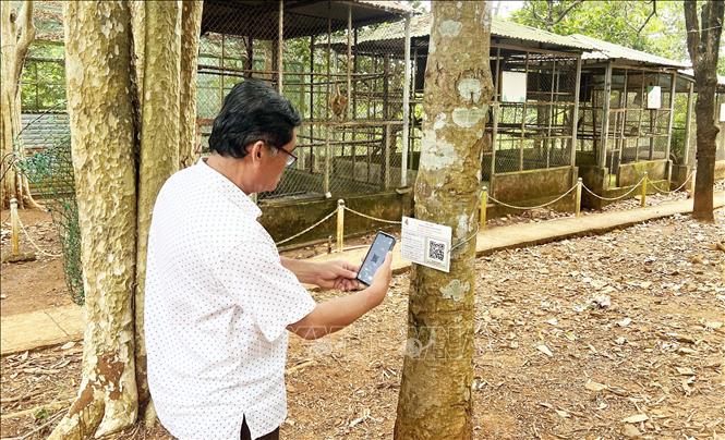 Mã QR trên cây rừng ở vườn quốc gia Bù Gia Mập giúp dễ dàng tra cứu thông tin, bảo vệ và phát triển rừng. Ảnh: Đậu Tất Thành – TTXVN