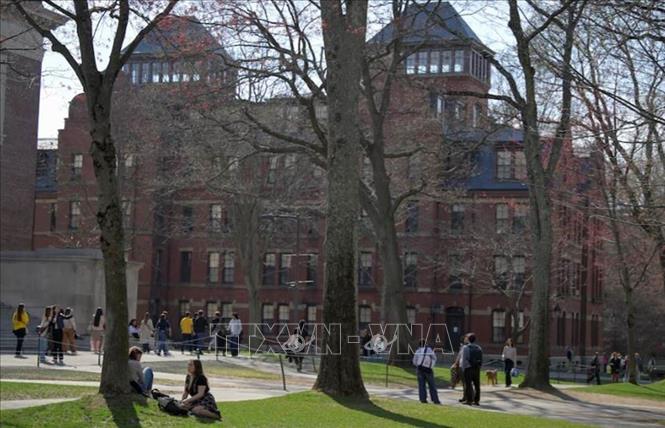 Sinh viên trong khuôn viên Đại học Harvard ở Cambridge, bang Massachusetts, Mỹ ngày 15/4/2025. Ảnh: REUTERS/TTXVN