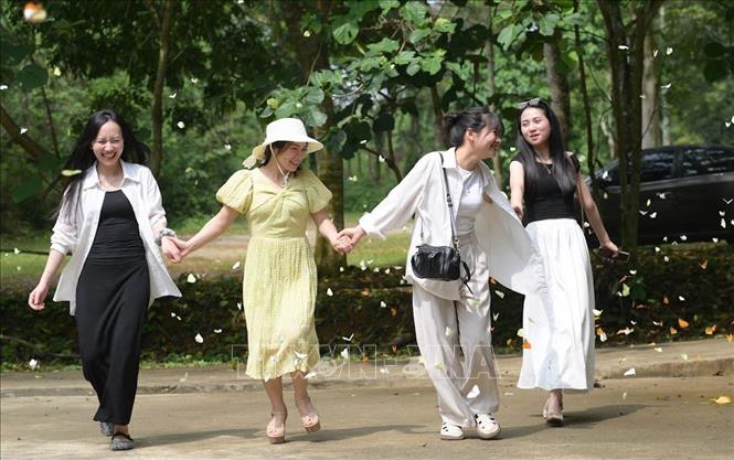 Hàng năm vào mùa bướm, lượng du khách đến Vườn Quốc gia Cúc Phương tăng từ 4 đến 5 lần. Ảnh: Hải Yến - TTXVN.