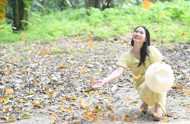 Vườn Quốc gia Cúc Phương những ngày này được giới trẻ tung hô là 