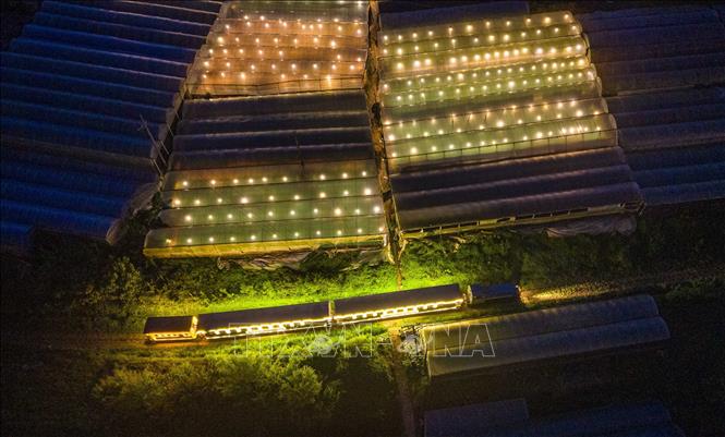 Đoàn tàu đi qua những cánh đồng, trang trại kính trồng hoa rất đặc trưng của Đà Lạt. Ảnh: Hoàng Hiếu - TTXVN