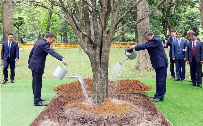 Tổng Bí thư Tô Lâm và Tổng thống Pháp Emmanuel Macron trồng cây hữu nghị trong Khu di tích Chủ tịch Hồ Chí Minh tại Phủ Chủ tịch. Ảnh: Phạm Kiên - TTXVN