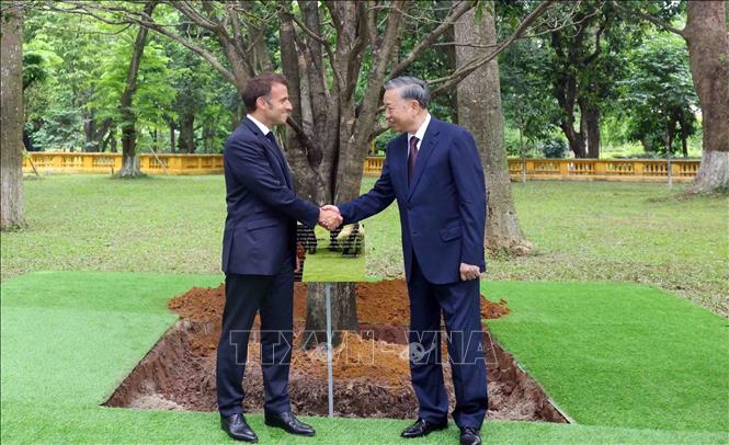 Tổng Bí thư Tô Lâm và Tổng thống Pháp Emmanuel Macron tại lễ trồng cây hữu nghị. Ảnh: Phạm Kiên - TTXVN