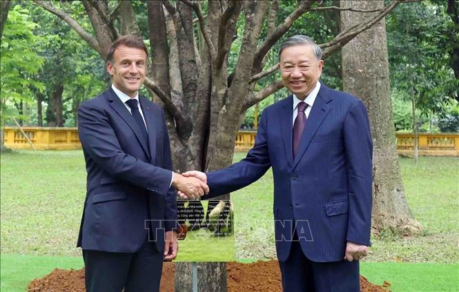 Tổng Bí thư Tô Lâm và Tổng thống Pháp Emmanuel Macron tại lễ trồng cây hữu nghị. Ảnh: Phạm Kiên - TTXVN