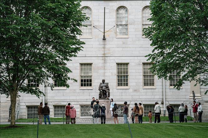 Khuôn viên Đại học Harvard ở Cambridge, bang Massachusetts, Mỹ ngày 24/5/2025. Ảnh: THX/TTXVN