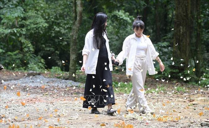 Young people enjoy natural beauty at Cuc Phuong National Park. VNA Photo: Hải Yến