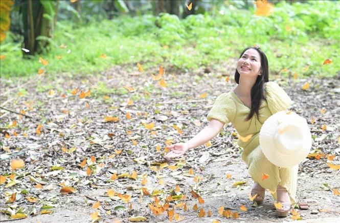 Young people enjoy natural beauty of Cuc Phuong National Park during butterfly season. VNA Photo: Hải Yến