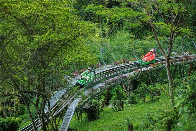 Du khách hoà mình vào thiên nhiên với hành trình xe máng trượt dài nhất Đông Nam Á hiện nay. Ảnh: Hoàng Hiếu - TTXVN