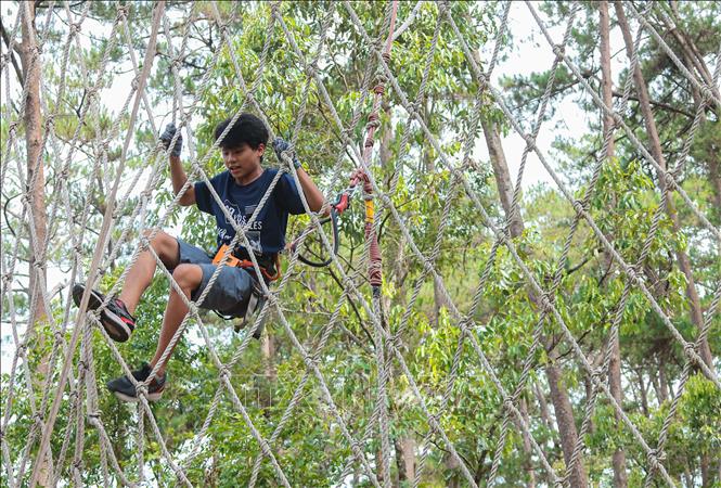 Tham gia những trò chơi mạo hiểm mang tính thử thách cao (High Rope Course), đòi hỏi người chơi phải có thể lực và sự quyết tâm mới có thể hoàn thành hành trình. Ảnh: Hoàng Hiếu - TTXVN