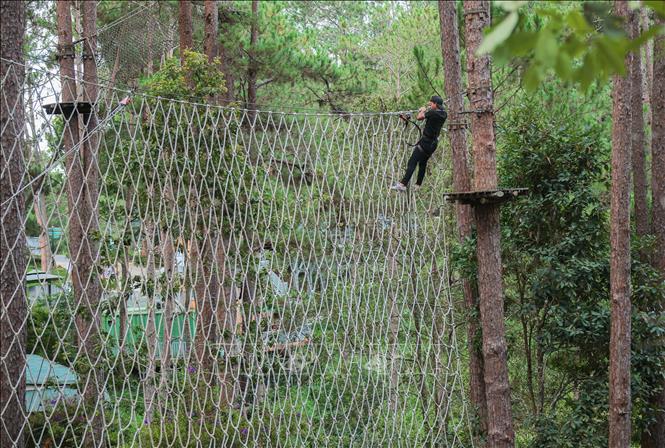 Tham gia những trò chơi mạo hiểm mang tính thử thách cao (High Rope Course), đòi hỏi người chơi phải có thể lực và sự quyết tâm mới có thể hoàn thành hành trình. Ảnh: Hoàng Hiếu - TTXVN